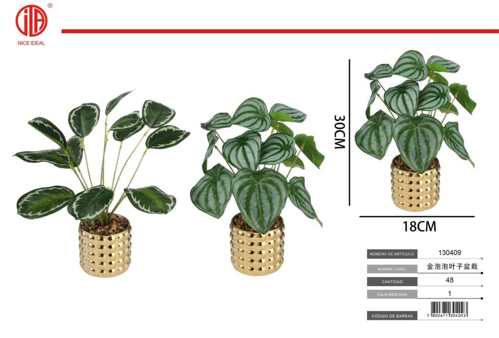 PLANTA EN MACETA