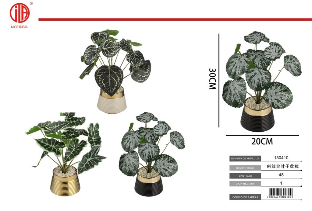 PLANTA EN MACETA