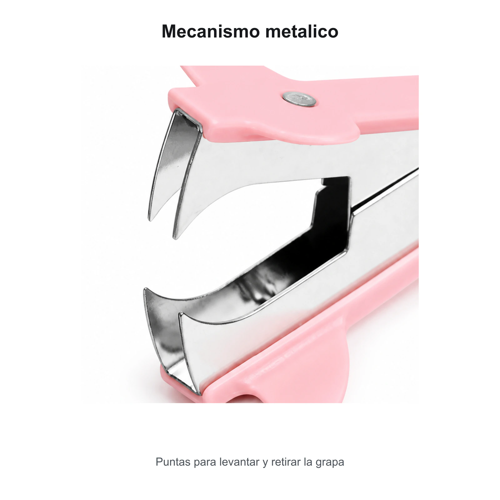Detalle del mecanismo metálico para retirar grapas