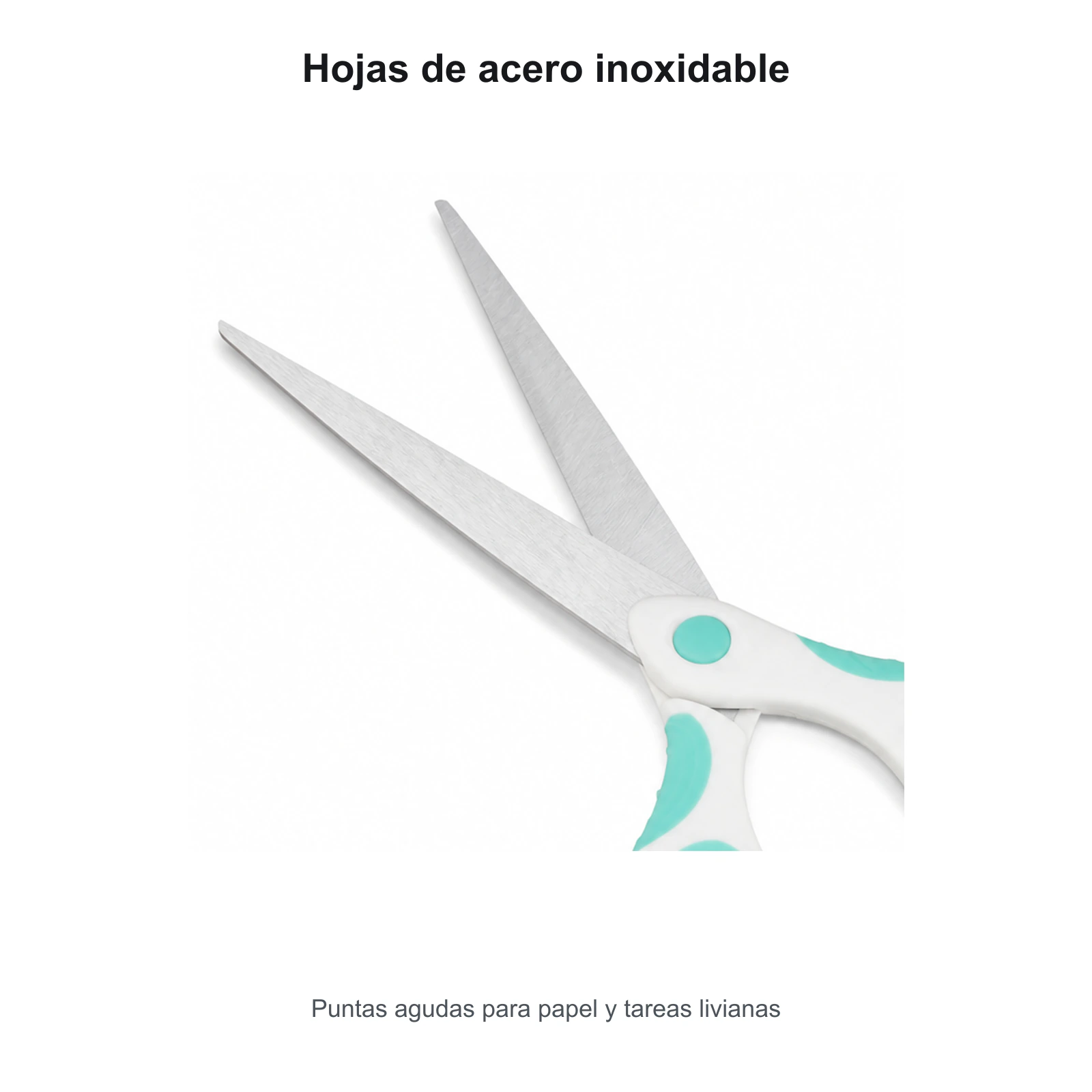Detalle de hojas de acero inoxidable con puntas agudas