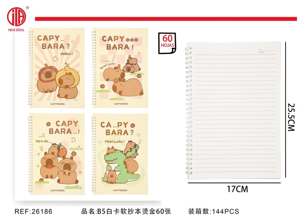 Cuaderno B5 60 Hojas