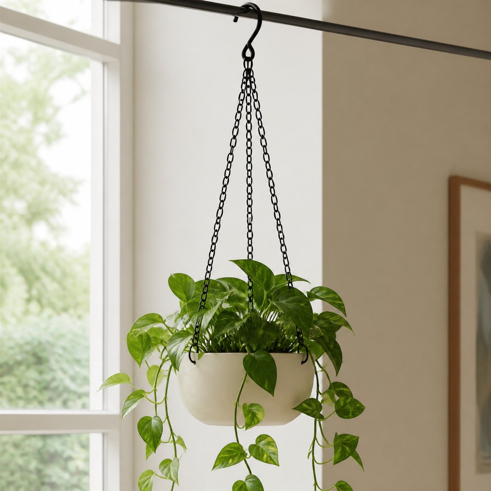 Colgador de tres cadenas sosteniendo una planta de interior junto a una ventana