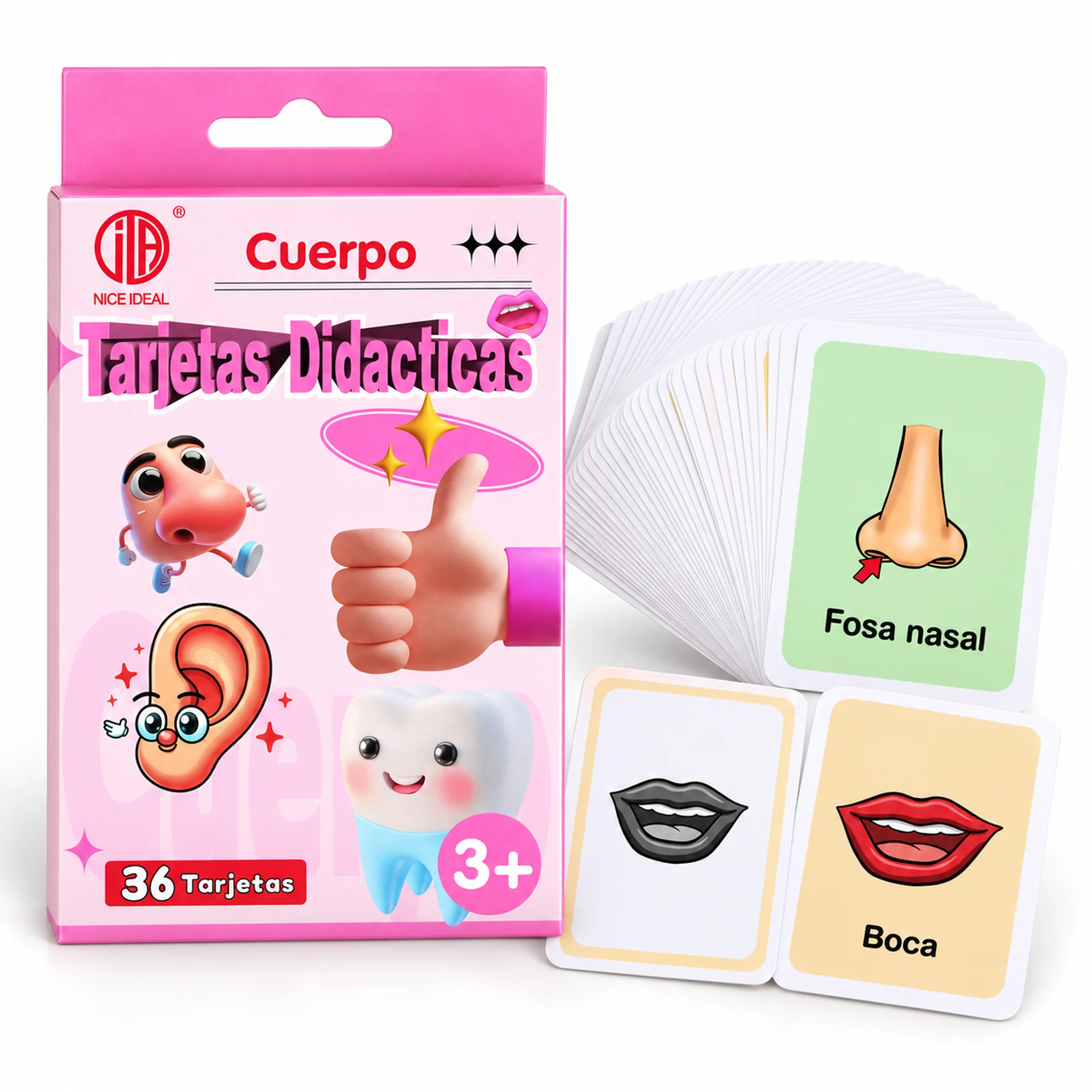 Tarjetas Didácticas del Cuerpo en Español, 36 Unidades, 7,8 × 11,7 cm