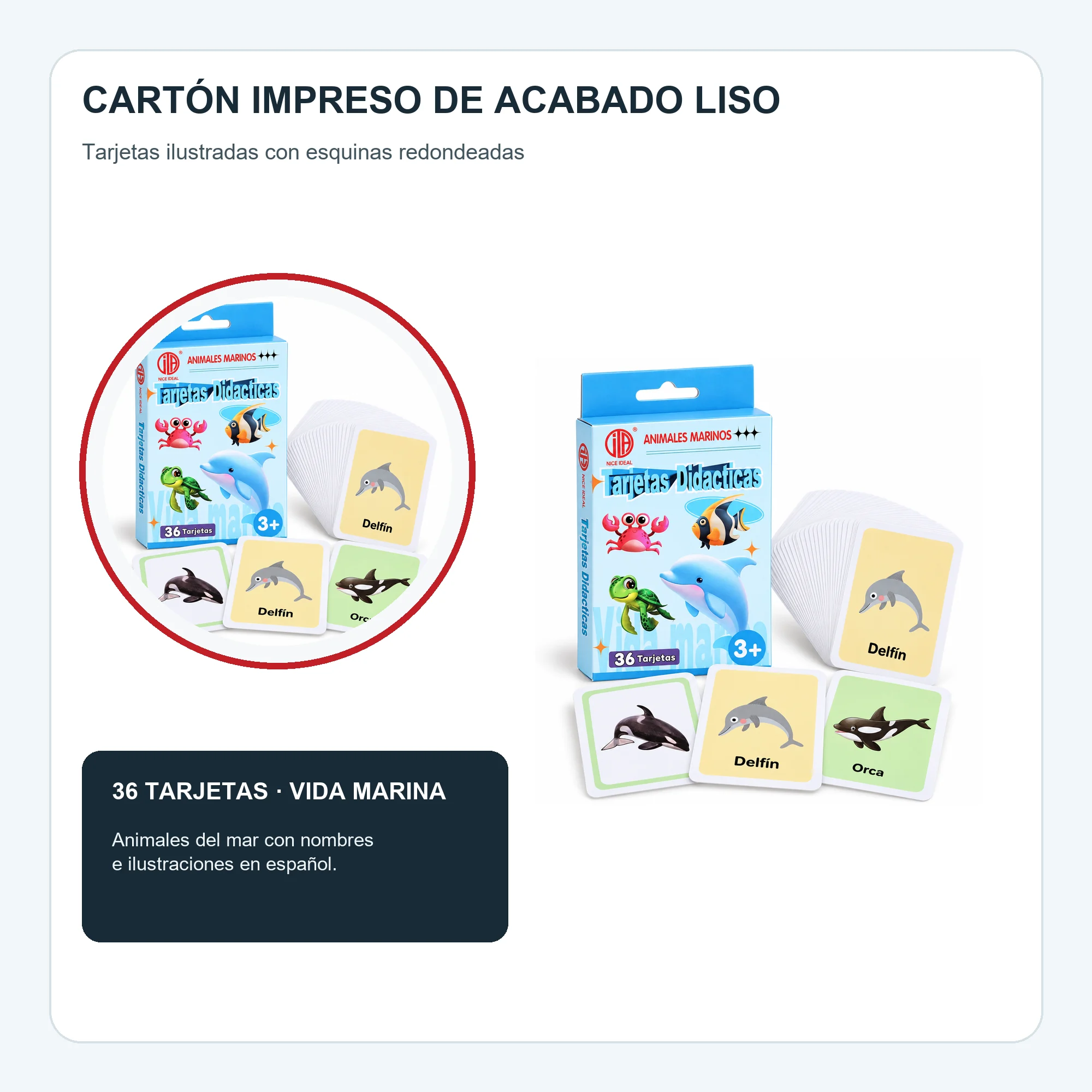Tarjetas Didácticas de Animales Marinos, 36 Unidades, 7,8 × 11,7 cm